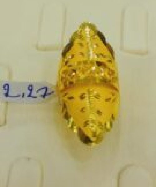 photo_2023-03-06_18-40-10-135x300